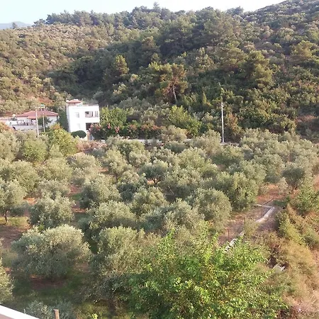 Aparthotel Zeus Apart *