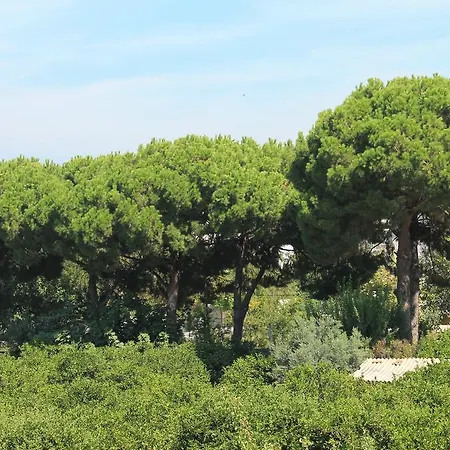 Апарт-отель Zeus Apart *