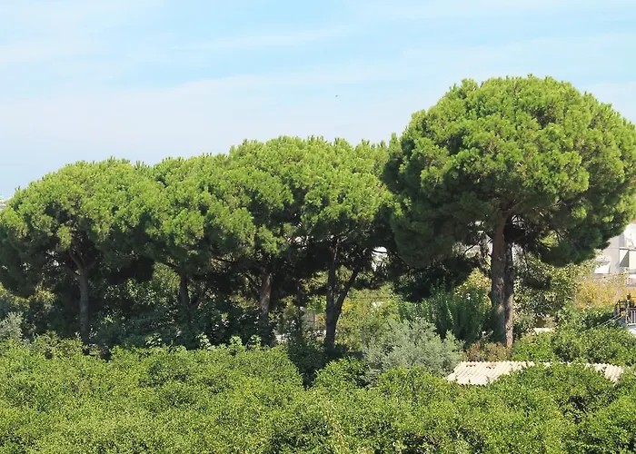 מלון דירות Zeus Apart *