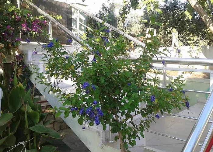 Zeus Apart Guzelcamlı