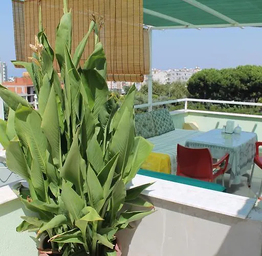 Zeus Apart מלון דירות Guzelcamlı